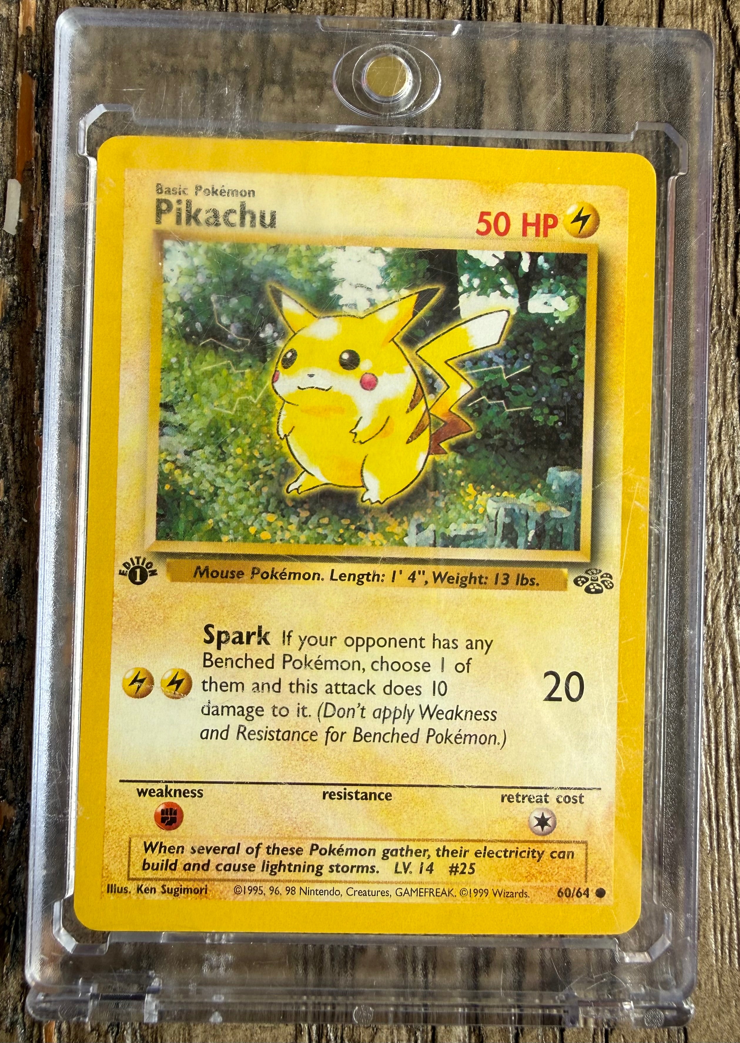 Pikachu - Jungle (JU)